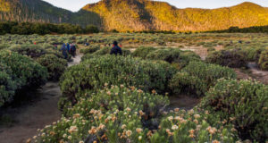 Lima Alasan buat Bulan Madu Di Lombok