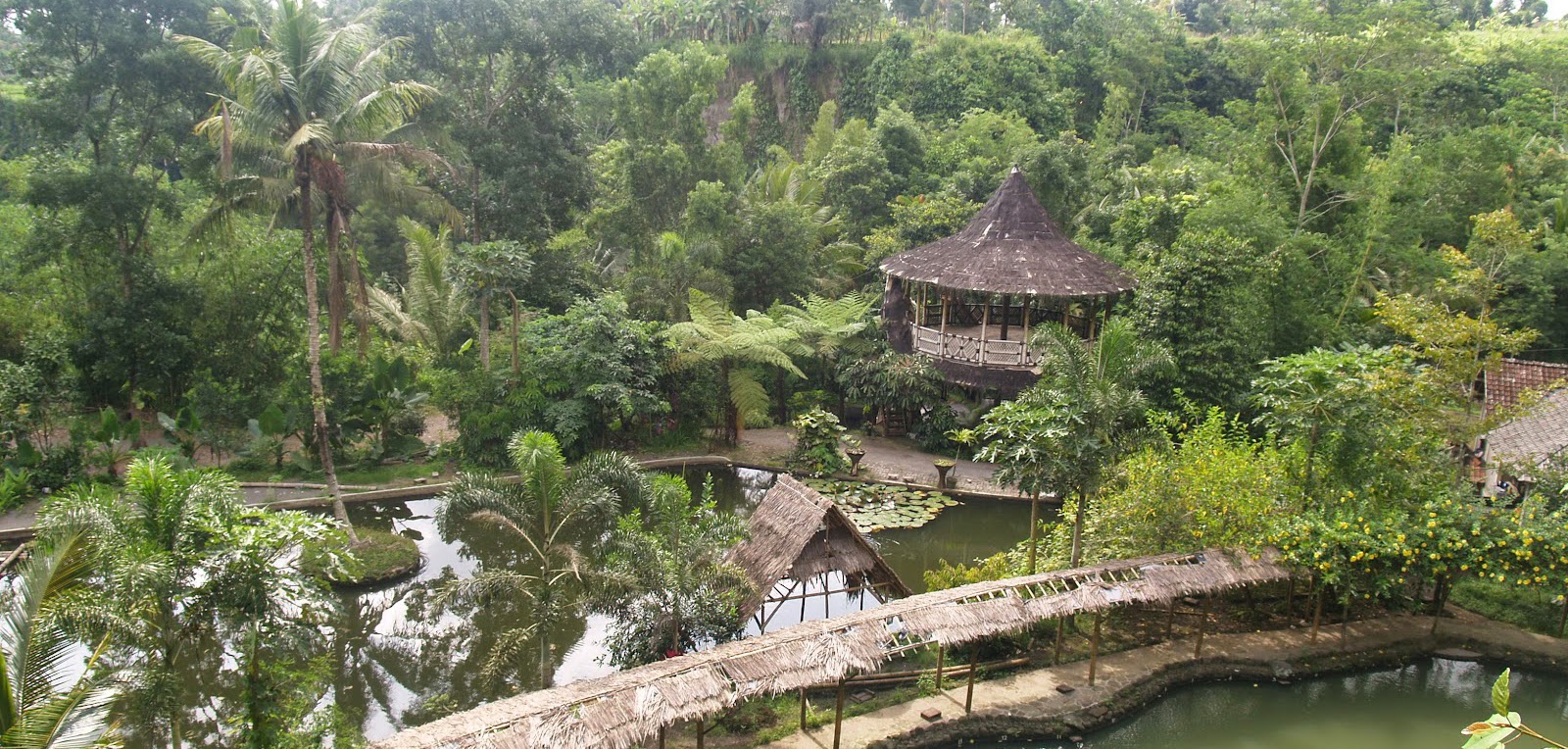 Sekilas Desa Pentingsari - Sumber: jogjasukasuka.com