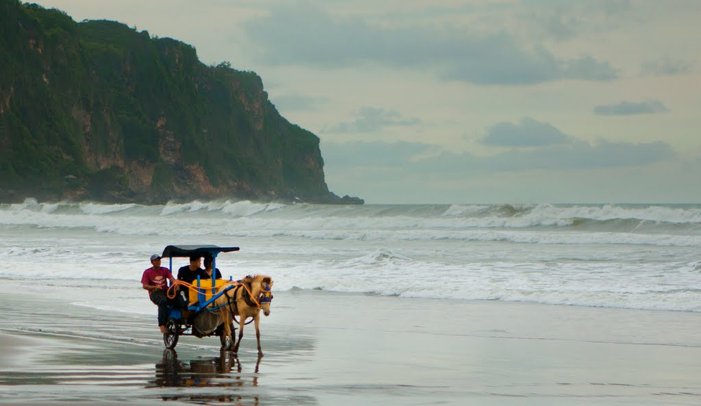 Panorama Pantai Parangtritis - Sumber: panoramio.com