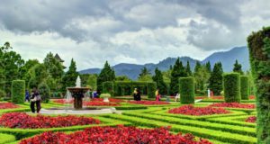 Apa yang dimaksud dengan Harga NETT Hotel