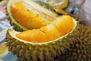 durian3