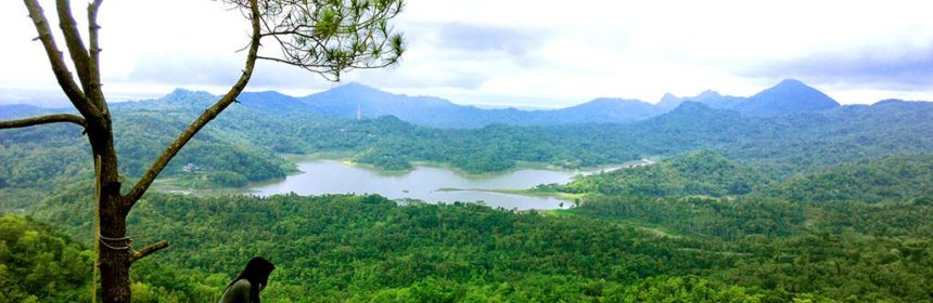 keelokan kali biru