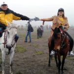 3b3146d6-c217-438a-9613-587