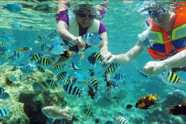 snorkeling di pulau tidung