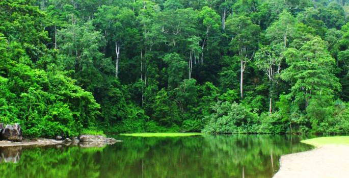 taman nasional meru betiri