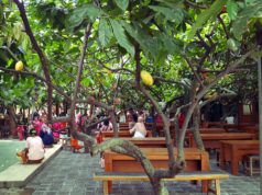 Wisata Kampung Coklat, Destinasi Wisata Yang Cocok Untuk Menghabiskan Liburan Bersama Keluarga