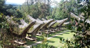 Pemandangan dari Mapongka